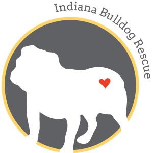Indiana Bulldog Rescue
